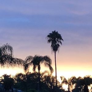 Meet your Posher, Felicia